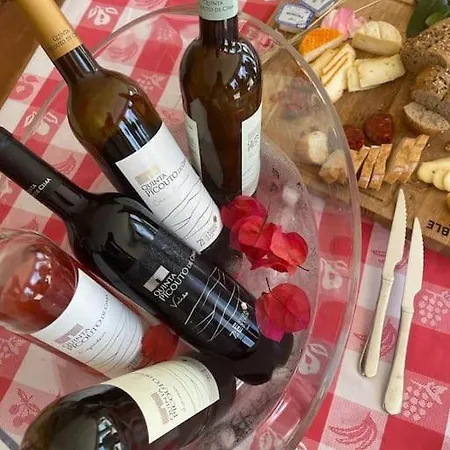 Hébergement de vacances Quinta Picouto De Cima