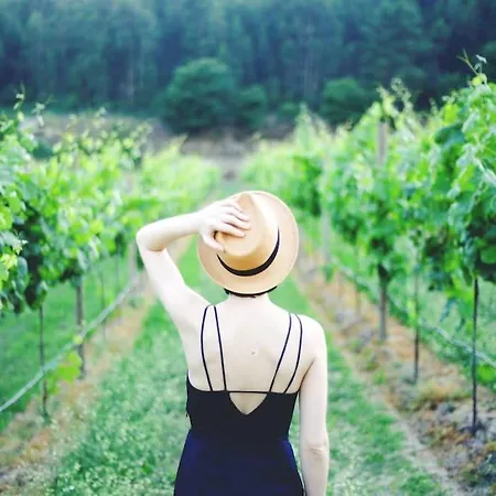 Quinta Picouto De Cima Vakantiehuis *