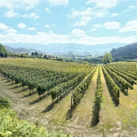 Quinta Picouto De Cima Guimarães