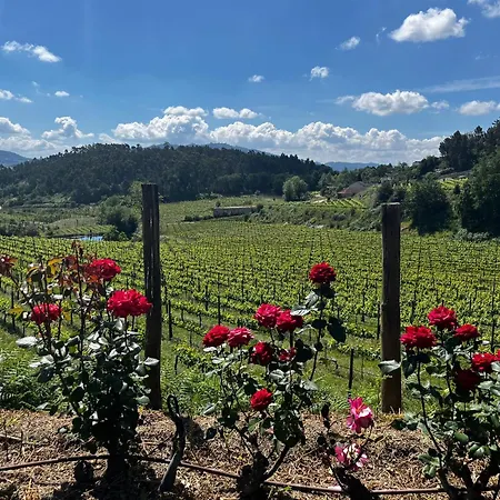 Quinta Picouto De Cima בית נופש