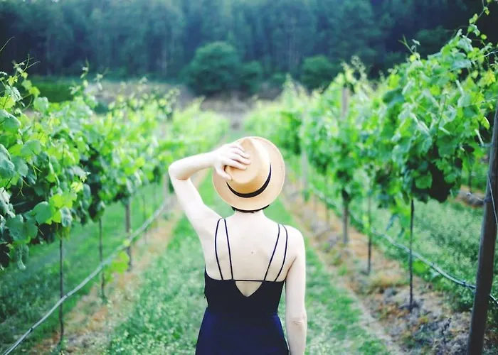 Quinta Picouto De Cima Tatil Evi *