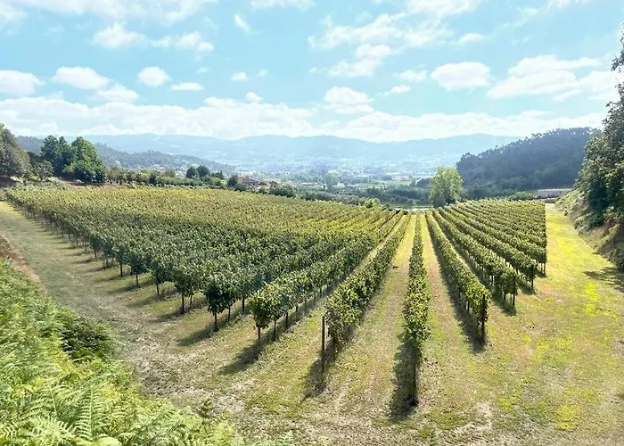 Quinta Picouto De Cima Guimarães