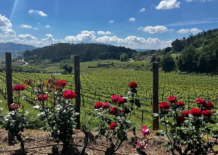 Quinta Picouto De Cima Tatil Evi